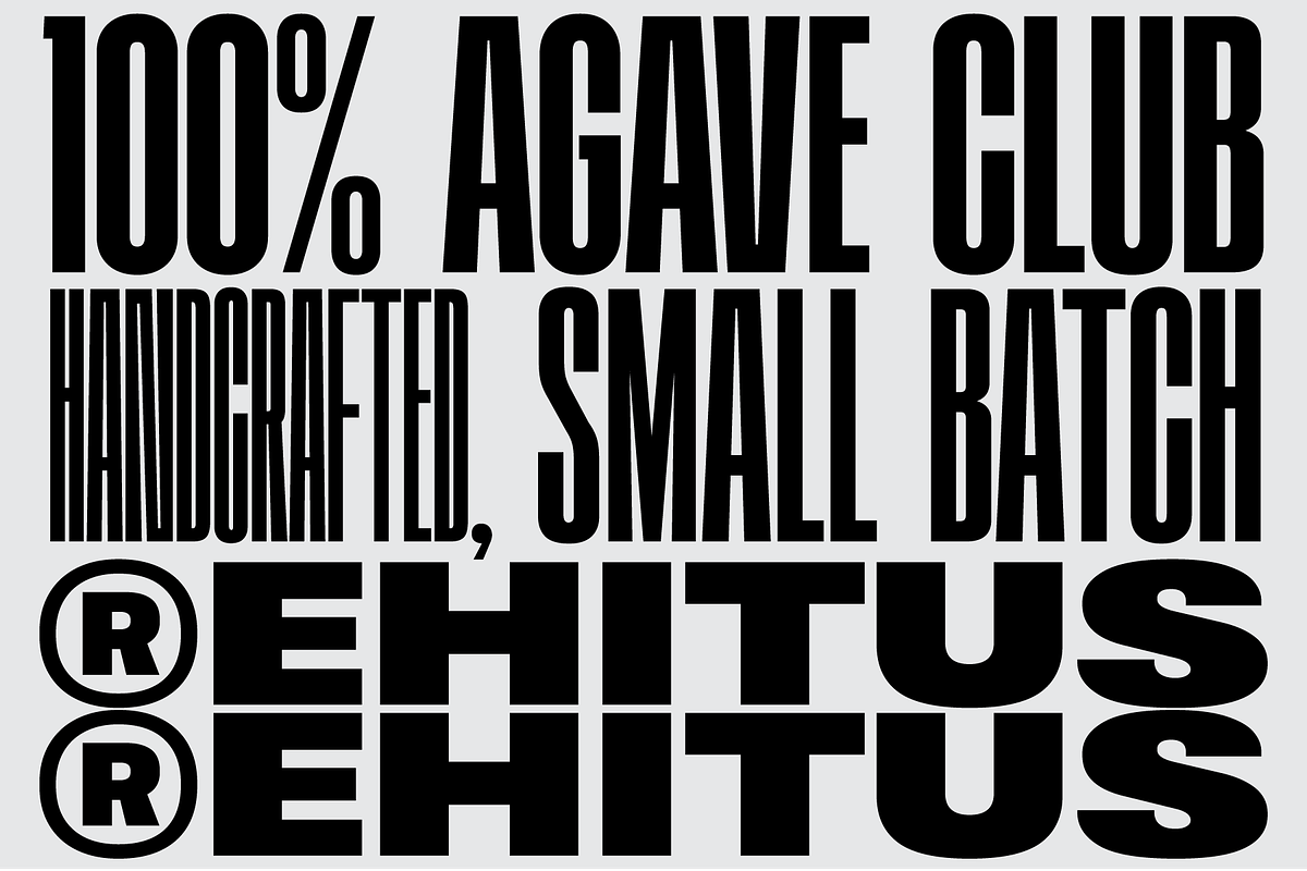 403 Vusion, a Sans Serif Font by 403 Type Foundry (Photo 10 of 20)
