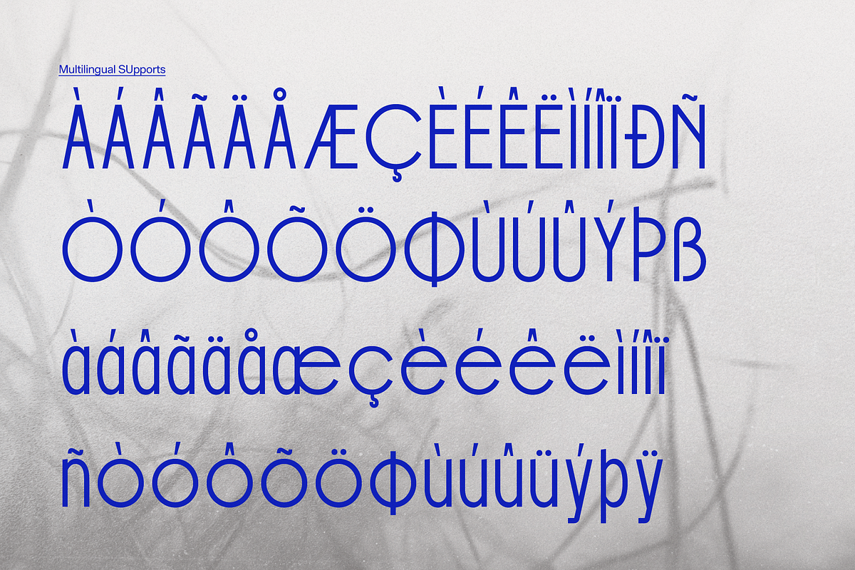 Bielchon | Modern Sans Serif, a Handwritten Font by gracetype_studio (Photo 10 of 11)