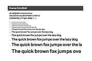 Exensa Grotesk Typeface + Web Fonts, a Sans Serif Font by Designova® (Thumbnail 9 of 10)