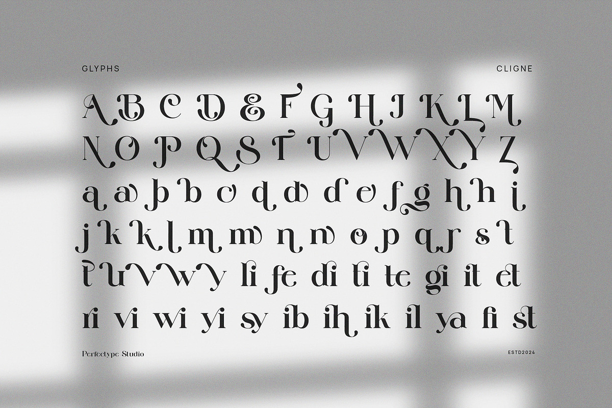 Cligne Elegant Serif Font, a Serif Font by Perfectype (Photo 8 of 8)
