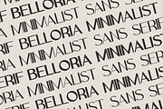 Belloria - Elegant Sans-Serif Family, a Sans Serif Font by Indotype Foundry (Thumbnail 3 of 10)