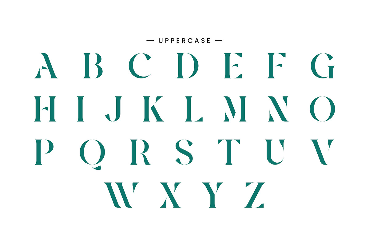 Negita Serif Font, a Serif Font by Idea Studio (Photo 9 of 12)