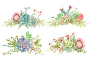 Succulent and Cactus collection, an Illustration by IvanFet (Thumbnail 10 of 10)