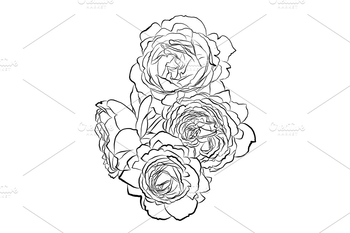 Outlined Rose Bouquets, an Object Graphic by VictoriaKStudio (Photo 4 of 4)
