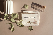 Herbarium II - Dried Pressed Flowers, an Illustration by AnaPierceArt (Thumbnail 6 of 6)