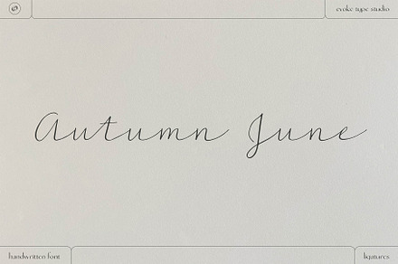 Autumn June Handwritten Script Font