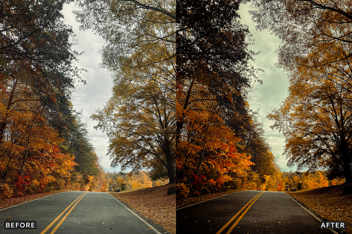 Misty Autumn Forest Presets, a Preset Add-On by AAA Presets (Photo 8 of 13)