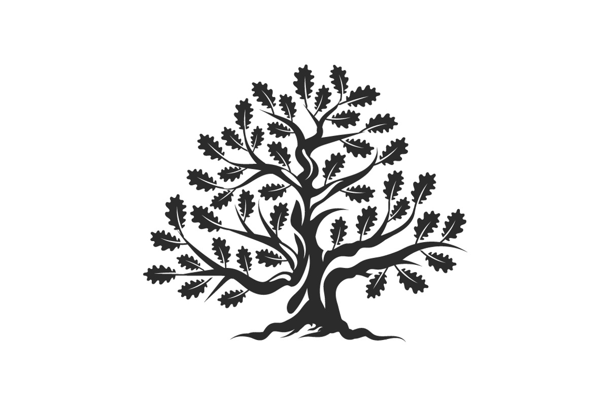 Isolated vector oak tree illustratio, an Object Illustration by provector