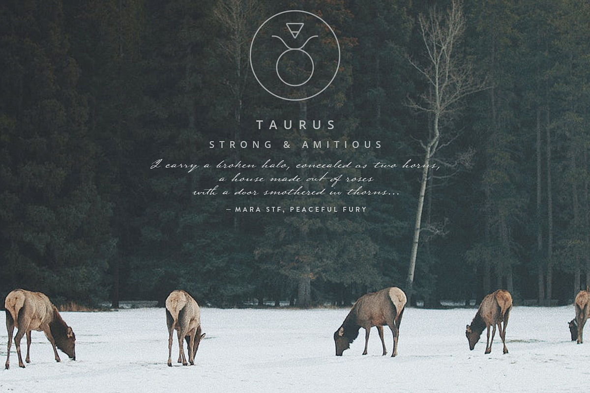 Zodiac Signs and Constellations, an Outline Icon by Pixejoo (Photo 6 of 10)