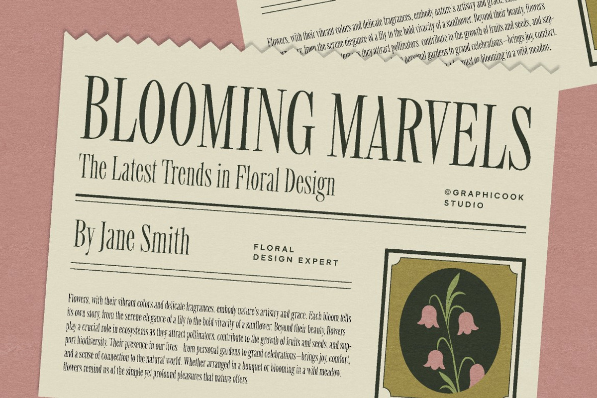 Modiserif, a Serif Font by graphicook (Photo 5 of 10)