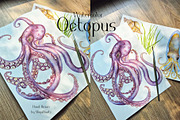 Watercolor Octopus Life Cycle Set, an Education Illustration by MayaNavits (Thumbnail 7 of 7)