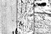 GSTC - Paint textures, a Texture Graphic by The Shop (Thumbnail 23 of 44)