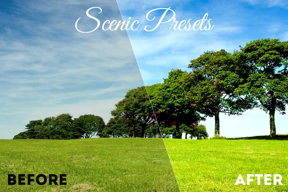 420 Lightroom Presets preview 5