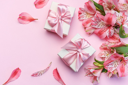 Beautiful Alstroemeria flowers and gift boxes on pink background, a Holiday Photo by Olena Rudo