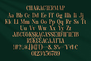 Graces || Modern Classy Serif Font, a Serif Font by Ermedia Studio (Thumbnail 10 of 10)