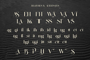 Aiditten Elegant Serif, a Serif Font by Alfinart (Thumbnail 10 of 10)