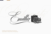 Desirable Calligraphy, a Script Font by Alcode (Thumbnail 4 of 16)
