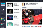 Tiny - Online Professional Resume PS, a Websites & App Template by MustacheThemes (Thumbnail 5 of 5)