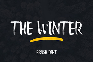 The Winter Brush, a Script Font by MSG Studio