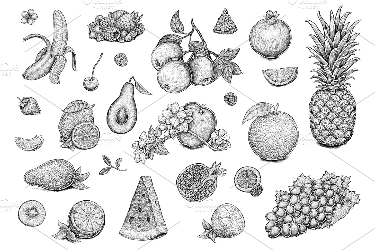 Fruits & Berries Collection, an Object Graphic by Eugenia Hauss Design (Photo 2 of 2)