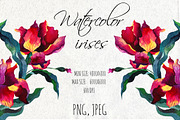 Watercolor iris flowers., a Decorative Illustration by redstudio (Thumbnail 1 of 9)