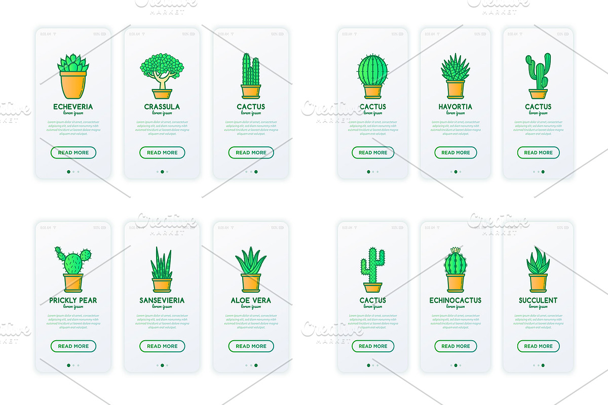 Succulents | 16 Thin Line Icons, an Outline Icon by Alex Blogoodf (Photo 8 of 9)