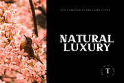 Torres Font Family, a Serif Font by AndrewPixel (Thumbnail 6 of 8)