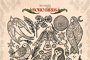 Boho Birds, an Animal Illustration by Ink Stories (Thumbnail 4 of 16)