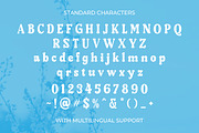 Holiday Feast Display Font, a Slab Serif Font by Letterhend Studio (Thumbnail 8 of 10)