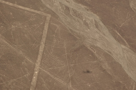Aerial airplane panoramic view to Nazca geoglyph lines aka Whale, Ica, Peru, an Architecture Photo by Wild, Wild World