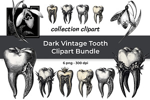 Dark Vintage Tooth Clipart Bundle, a Healthcare Illustration by InkyQueenArt