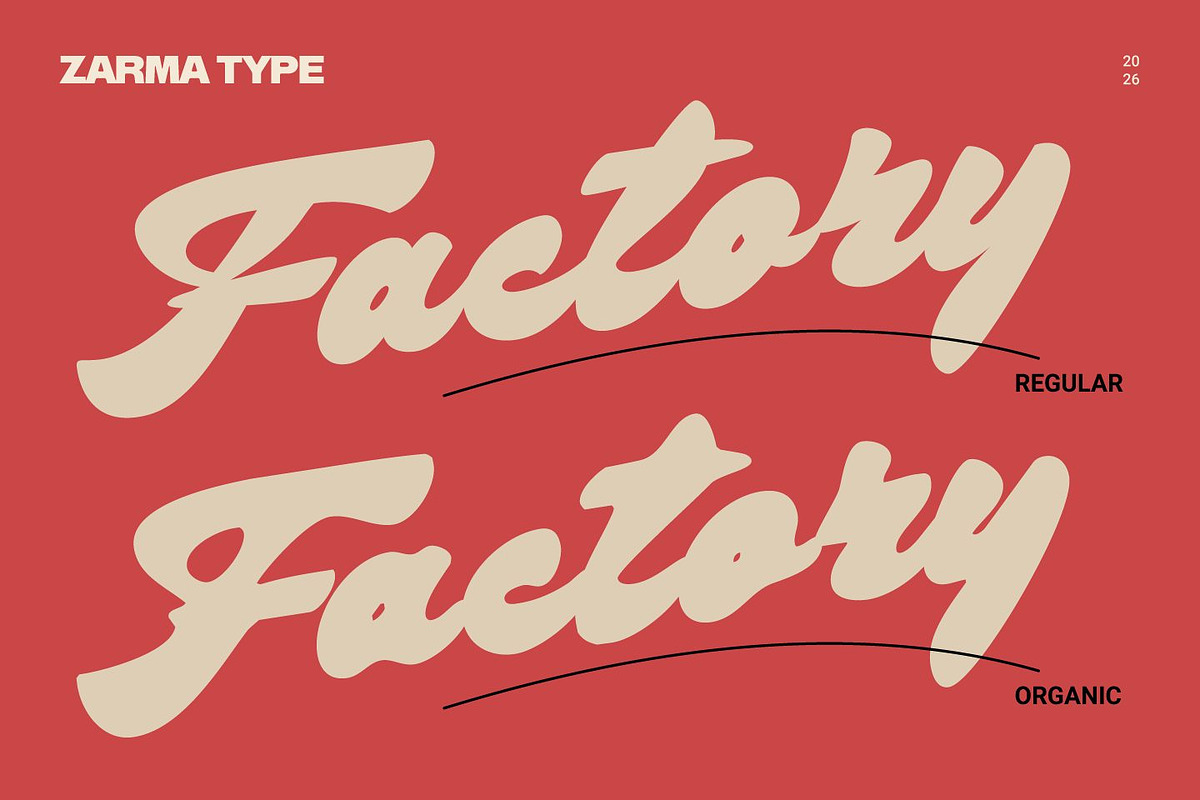 Bright Supply - Bold Script Font, a Script Font by Zarma Type (Photo 10 of 12)