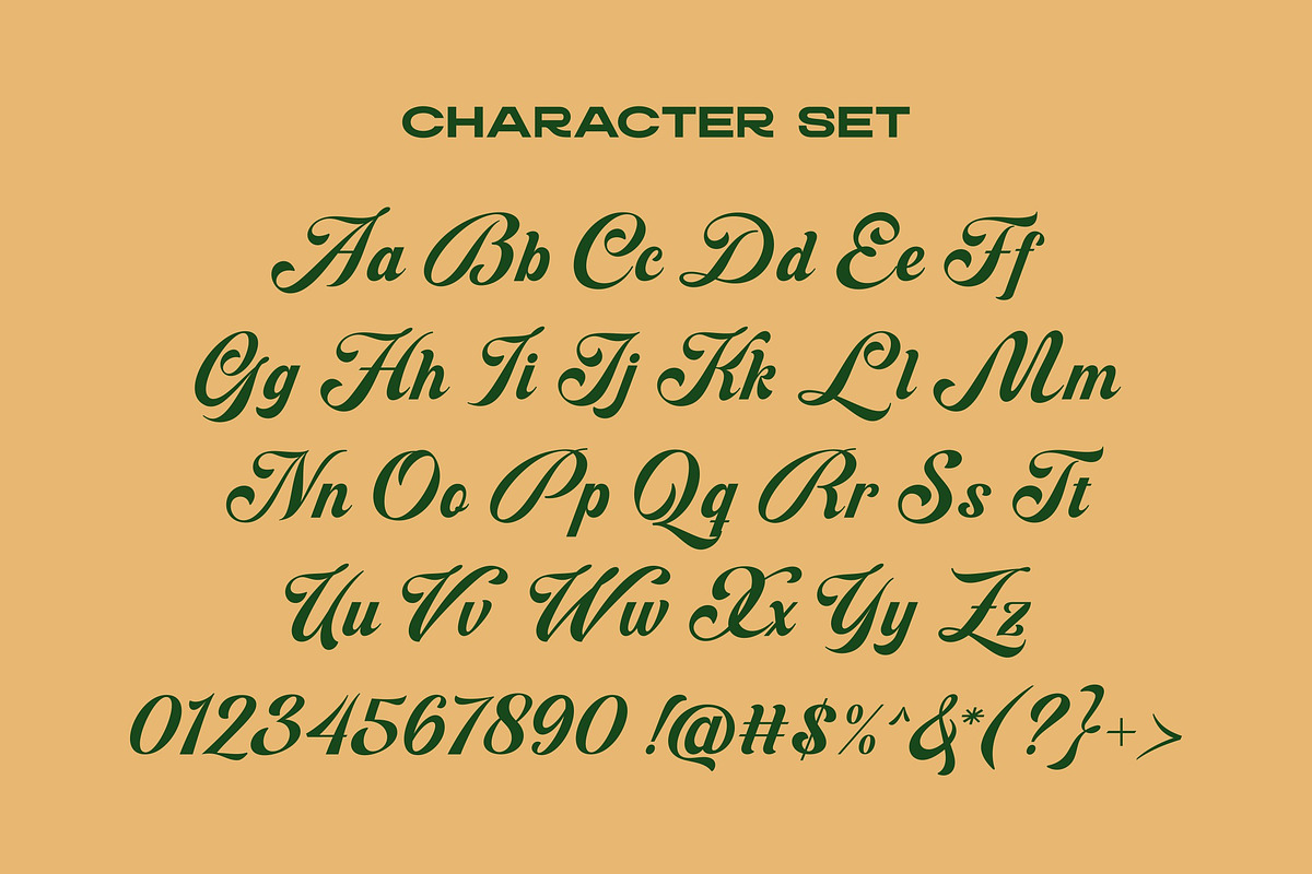 Blagkine - Bold Script, a Script Font by ErgibiStudio (Photo 10 of 11)