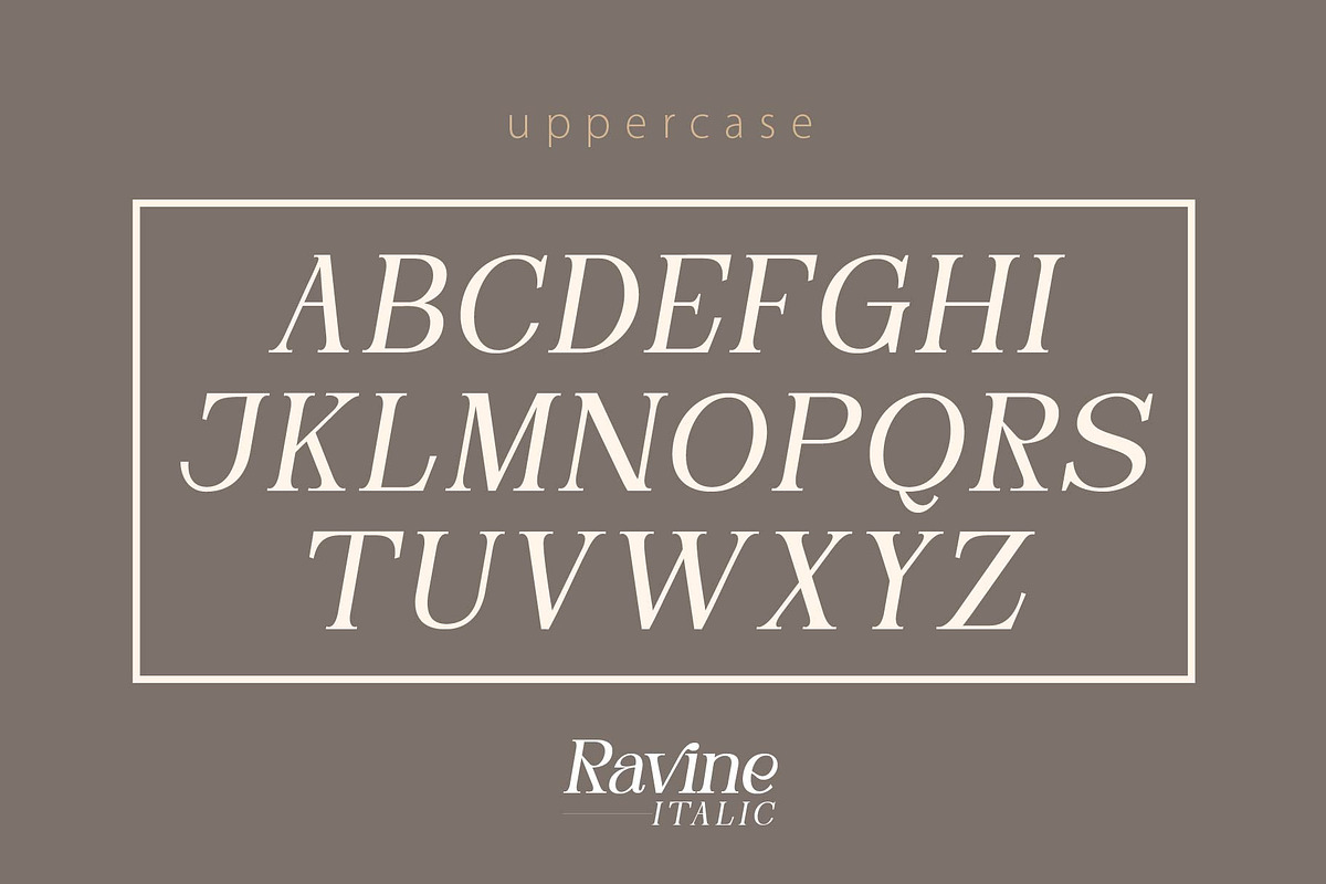 RAVINE ITALIC, a Serif Font by Olexstudio (Photo 5 of 8)