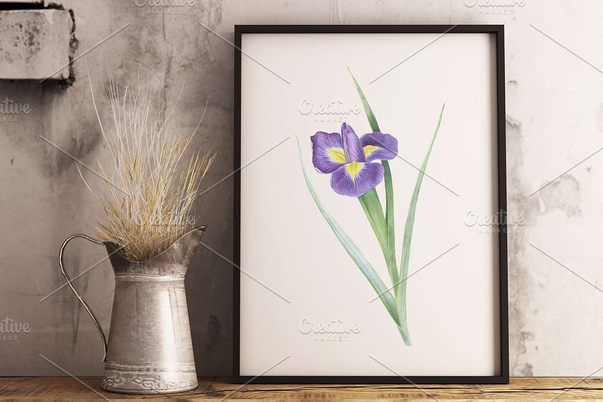 Florals watercolor set, an Illustration by Elegantia (Photo 10 of 11)