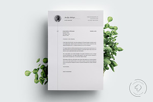 Resume And Cover Letter - 5 Pages