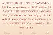 CS Granvile Disco, a Serif Font by Craft Supply Co. (Thumbnail 8 of 8)