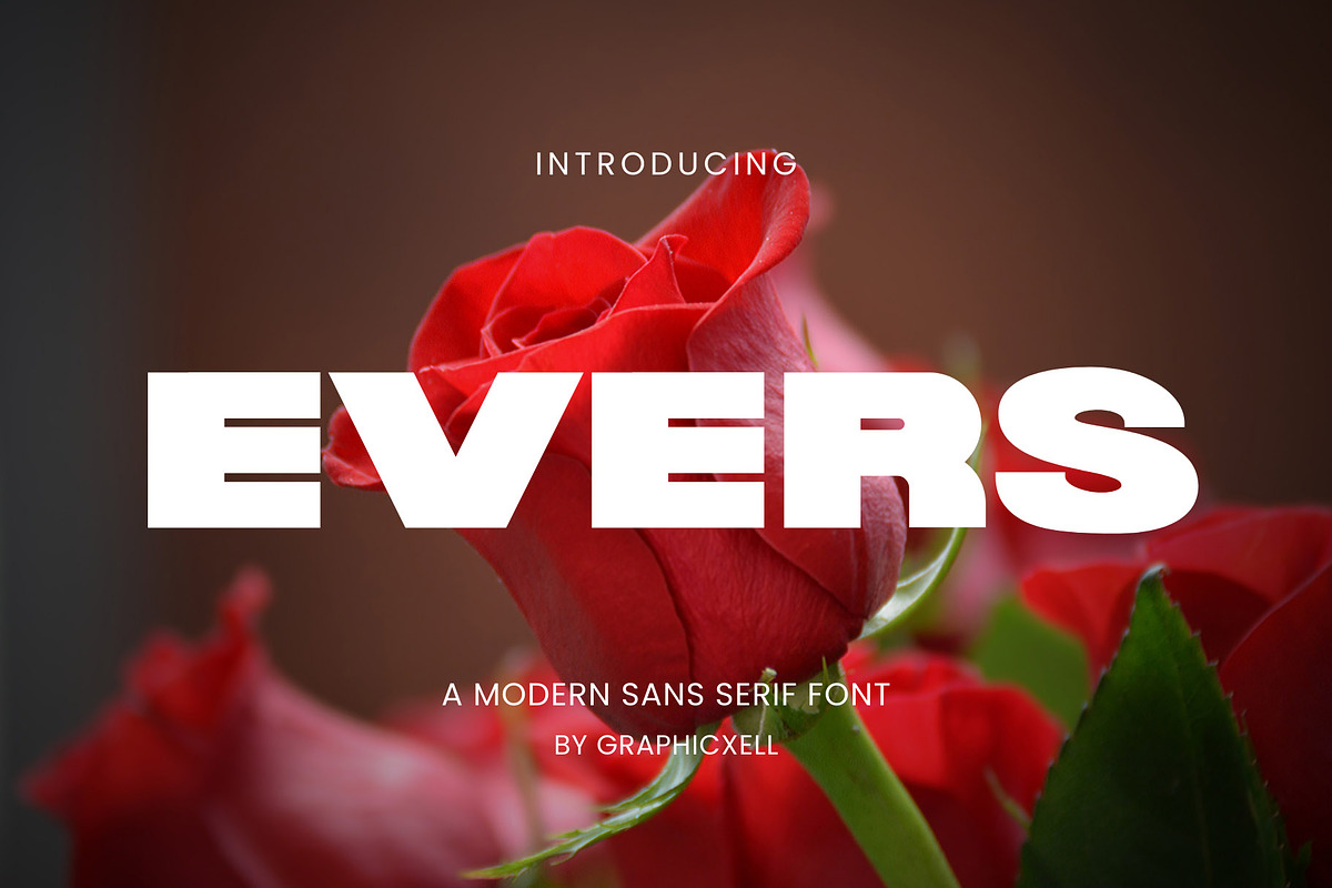 Evers Sans Serif Font, a Sans Serif Font by Graphicxell (Photo 1 of 7)