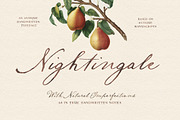 Nightingale Script, a Script Font by Nicky Laatz (Thumbnail 1 of 10)