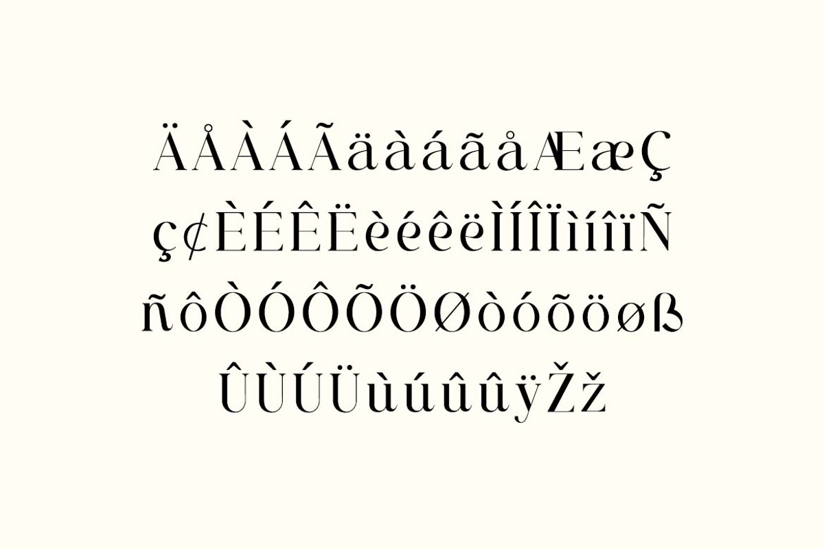 Brigton Newport Serif Font, a Serif Font by UICreative (Photo 3 of 13)