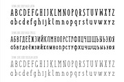 SUNN Line Serif Extended Font, a Serif Font by Wild Ones (Thumbnail 2 of 7)