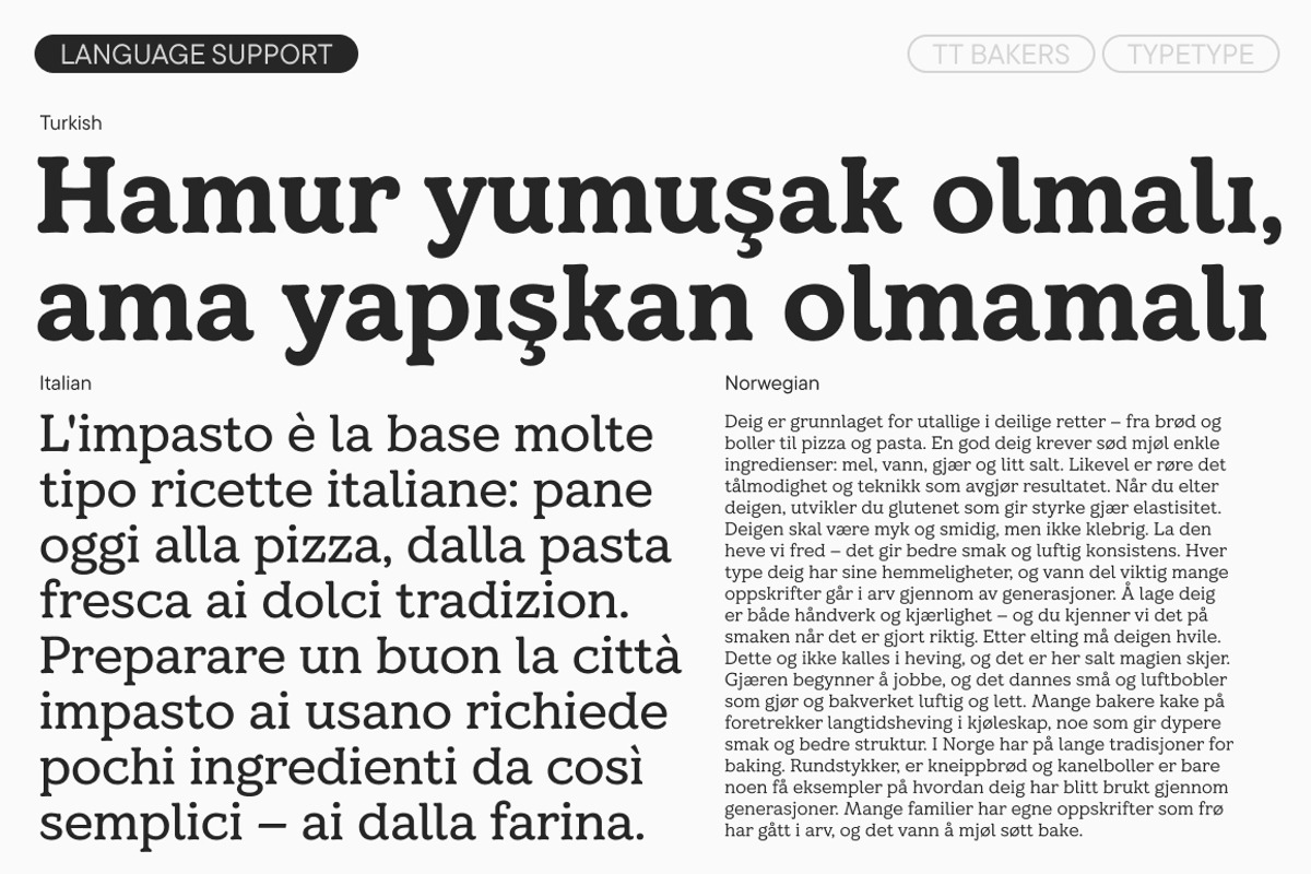 TT Bakers, a Serif Font by TypeType (Photo 8 of 15)