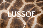 El Pacre Display Font, a Serif Font by Hishand Studio (Thumbnail 4 of 10)