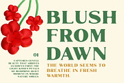 Marques Rounded Drawn, a Serif Font by Craft Supply Co. (Thumbnail 4 of 8)