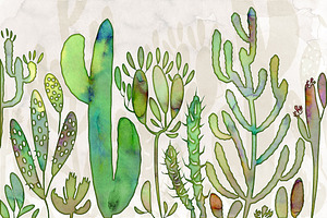 Sweet Succulent Vector Brushes