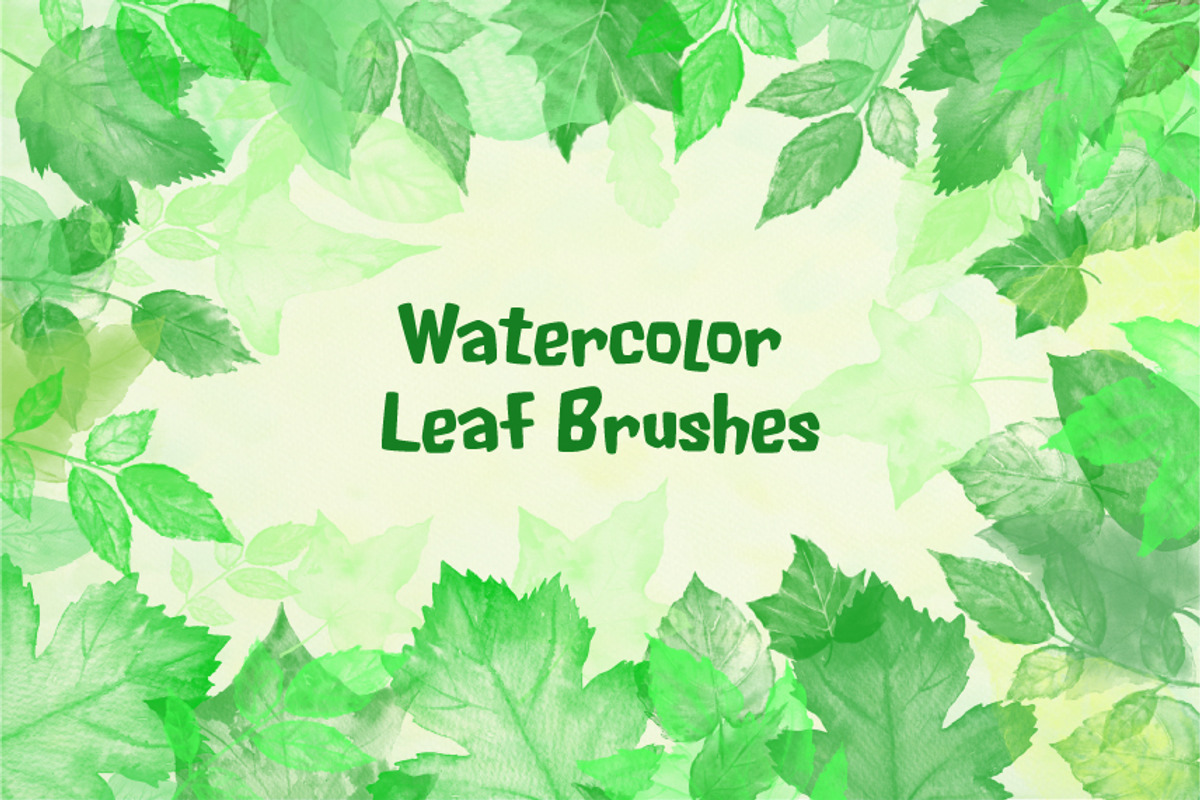 Watercolor Leaf Photoshop Brushes preview 5