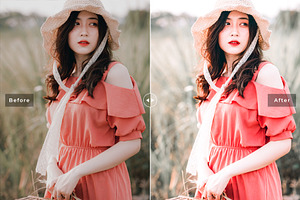 Bunchberry Pro Lightroom Presets