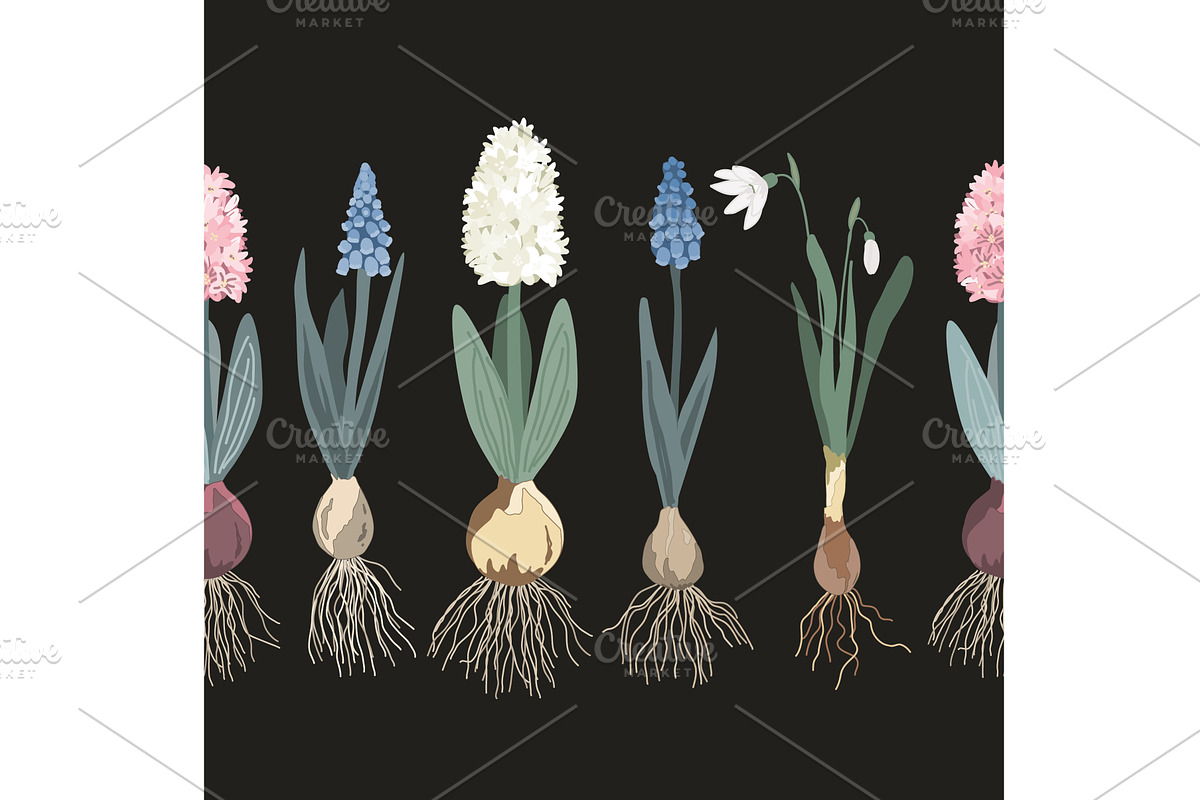 Botanical seamless border design, an Object Illustration by Toltemara