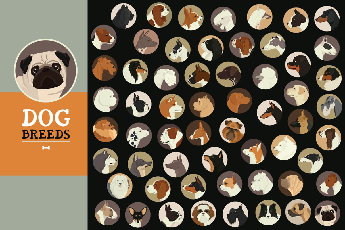 Dog breeds, a Graphic by Nenilkime (Photo 2 of 5)