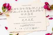Heartless script, a Script Font by Deveze Art & Co (Thumbnail 5 of 8)